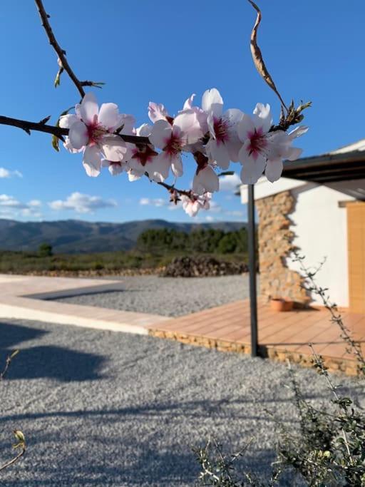 La Llobatera Casa Rural Les Coves de Vinroma 외부 사진